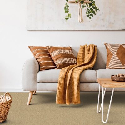 Wool Carpets